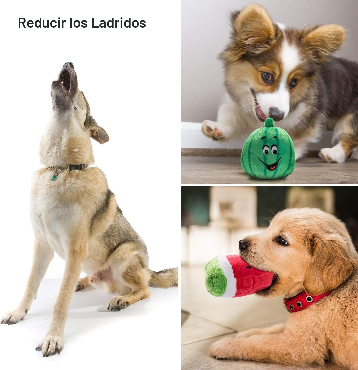 Nocciola Juguetes chirriantes para perros, juguetes de peluche para...