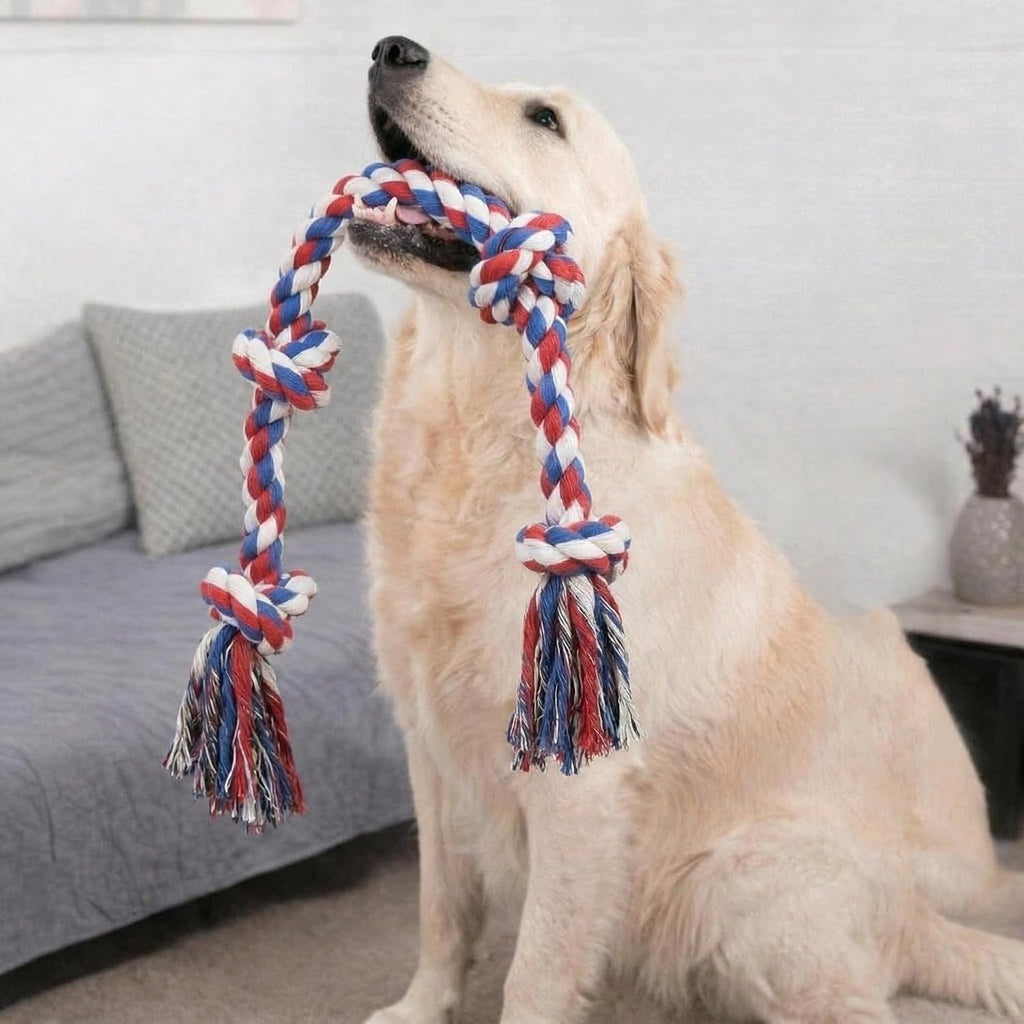 Paw-FECT Piece - Juguete de cuerda para perro de alta resistencia X...