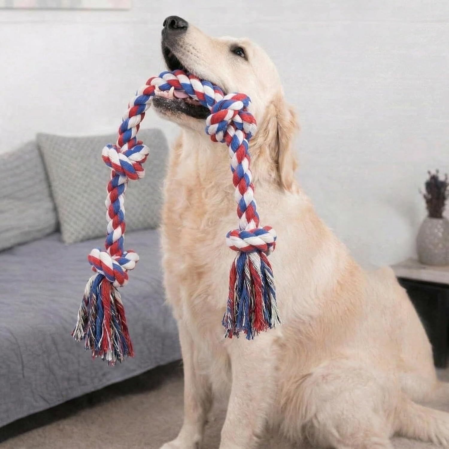 Paw-FECT Piece - Juguete de cuerda para perro de alta resistencia X...