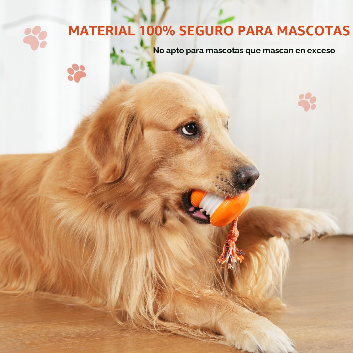 QGI Juguetes interactivos para perros, camino aleatorio, eléctrico,...