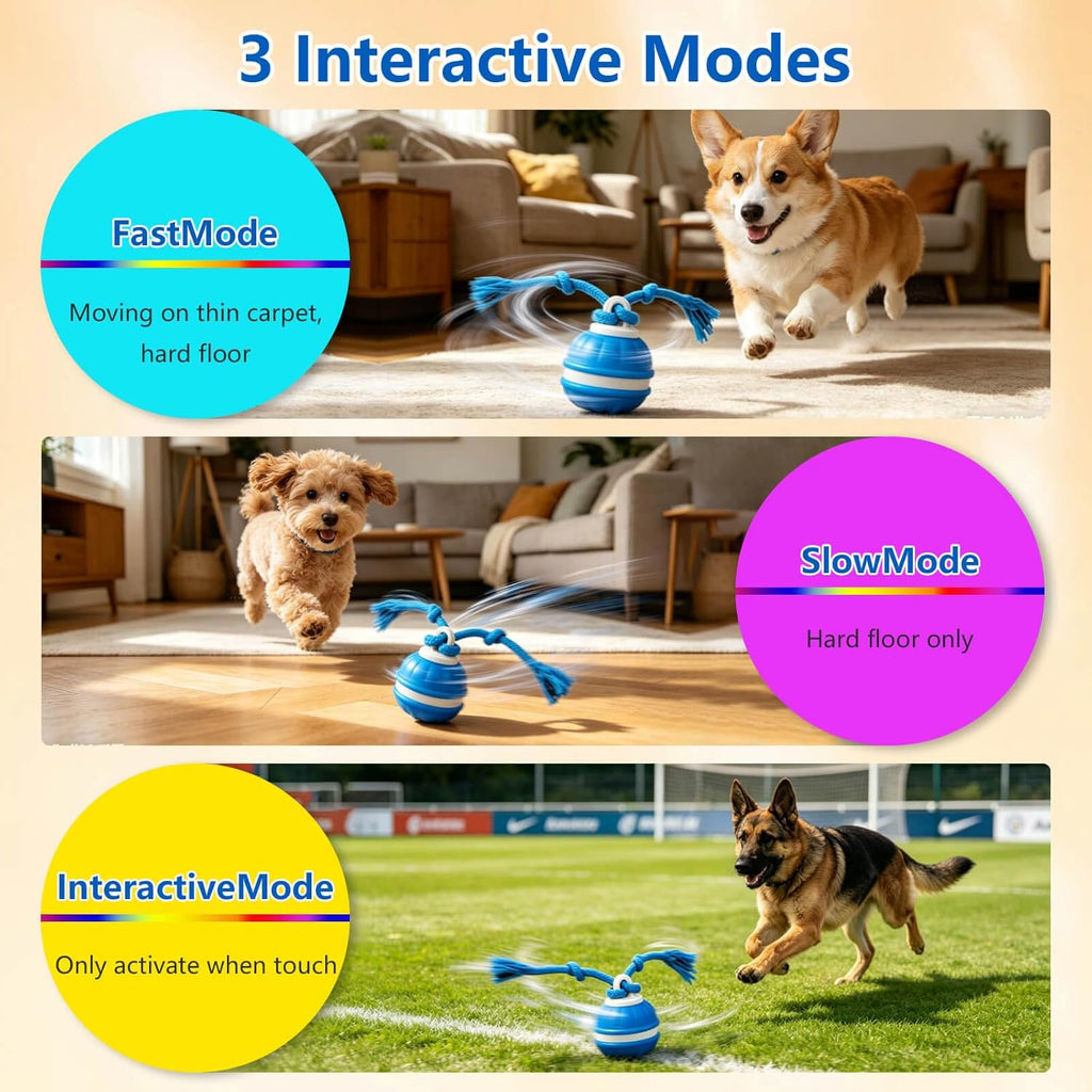 Craynivel Pelota interactiva para perros, juguete de 360° con luces...