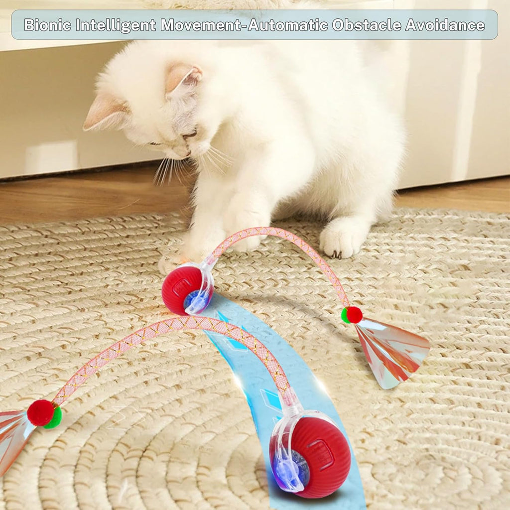 Yaruiguang Nuevo Juguete de Pelota para Gatos Mejorado - Speedy Tai...
