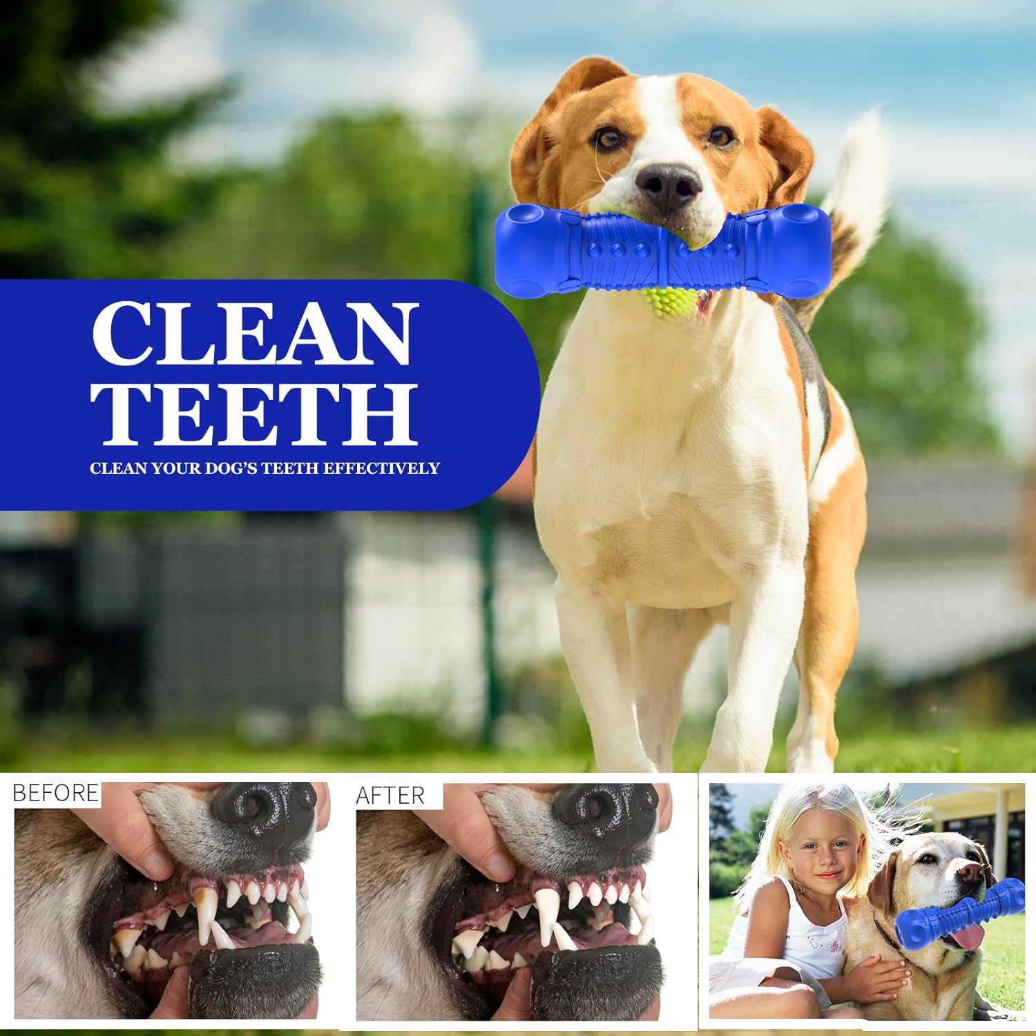 ZIKATON Juguetes chirriantes para perros masticadores agresivos, ju...