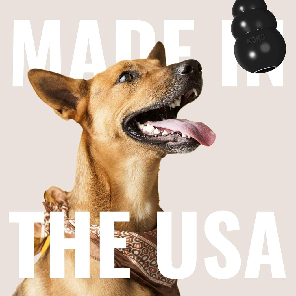 KONG Juguete extremo para perros, juguete para buscar y masticar, c...