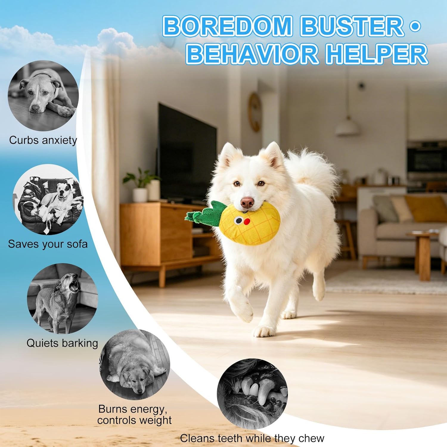 BEAUTYZOO Juguetes flotantes de piscina de agua para perros, paquet...