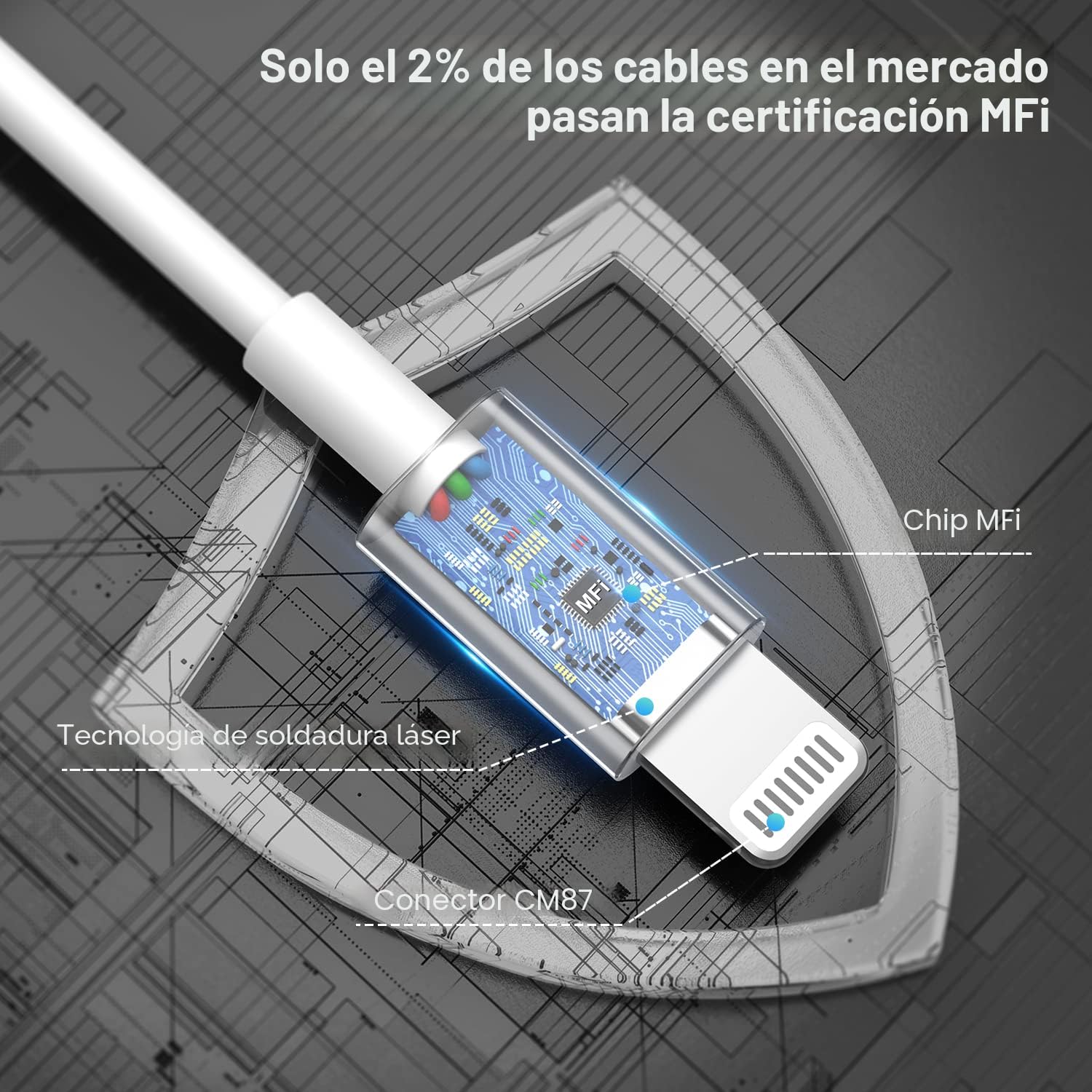 Paquete de 2 cargadores de iPhone de 10 pies, [certificado MFi de A...