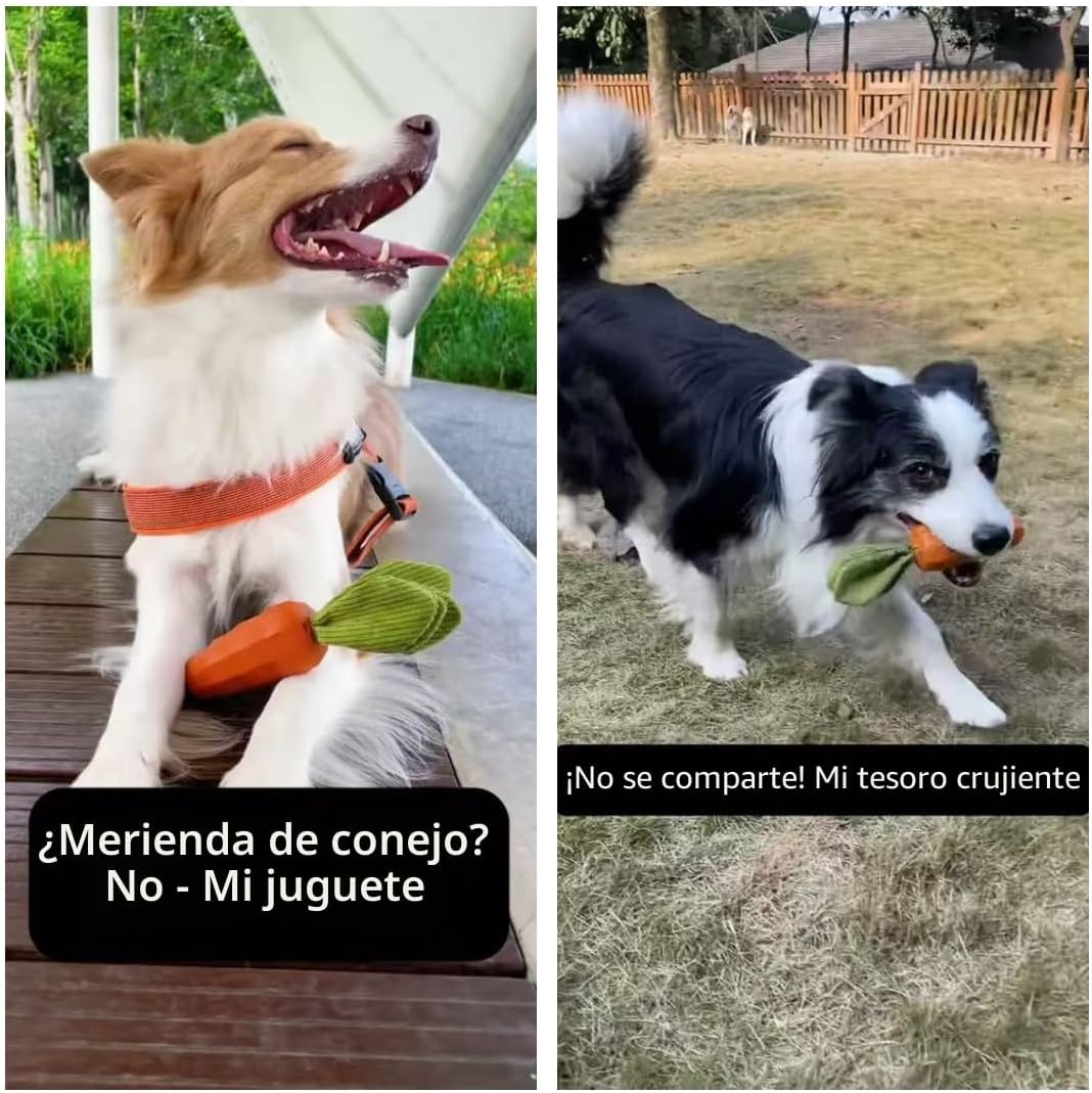 MewaJump Juguetes Chirriantes y Masticables para Perros Masticadore...