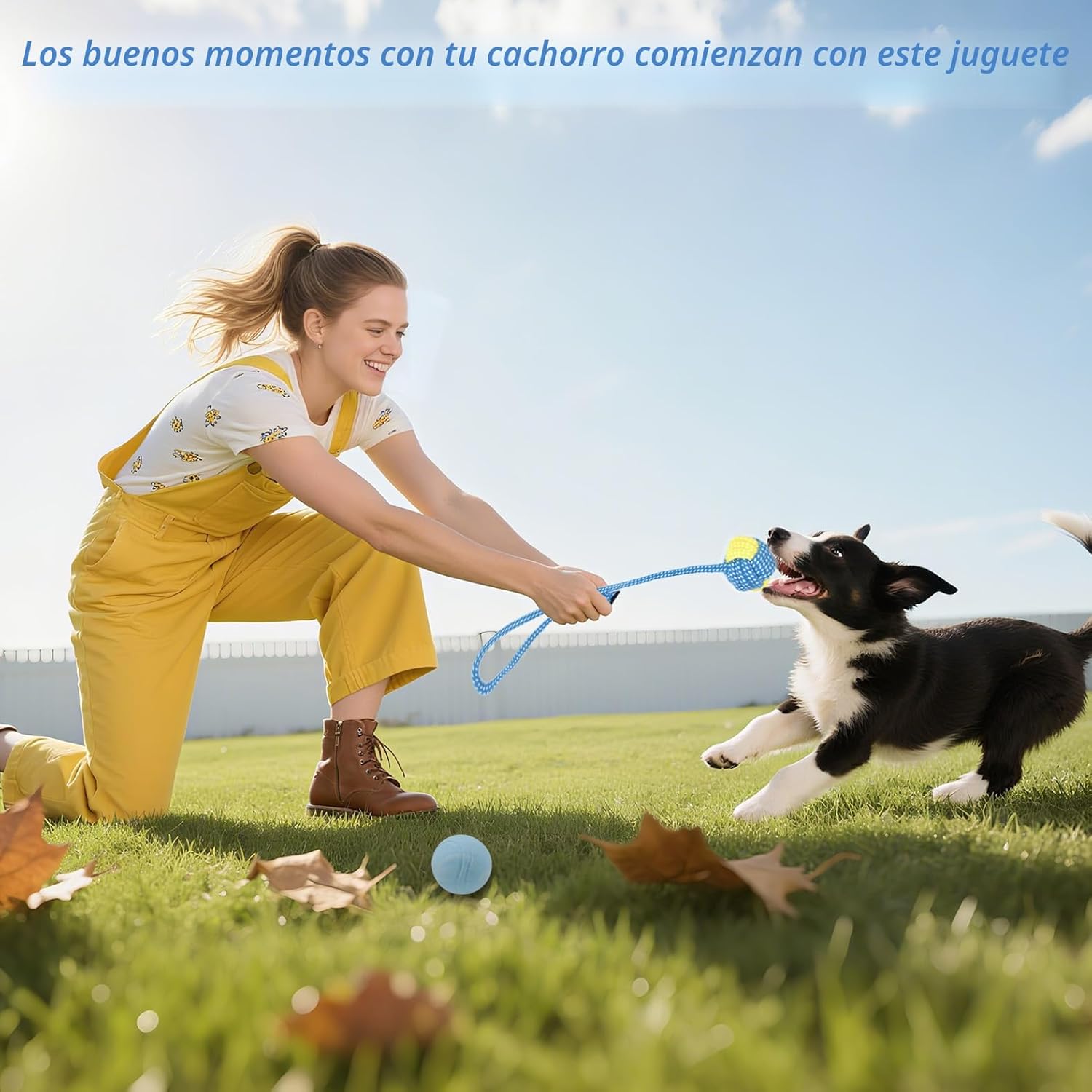 Beiker Paquete de 20 juguetes masticables para cachorros, juguetes...