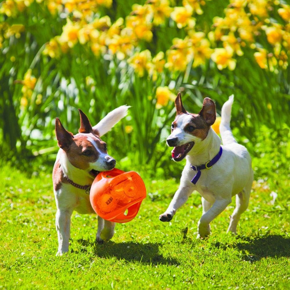 KONG Jumbler Ball - Juguete interactivo para perros y cachorros, ju...