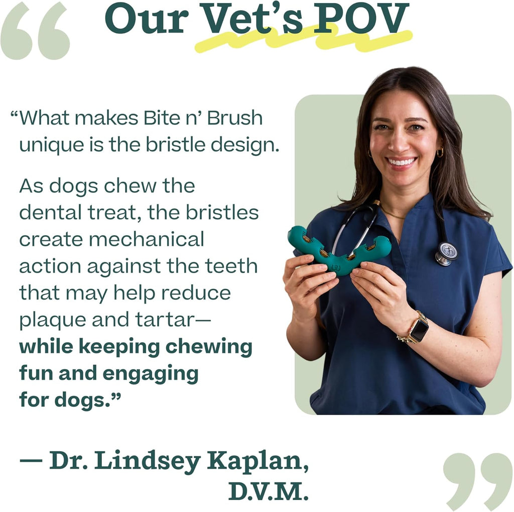 WOOF The Bite n' Brush - Cepillo de dientes para perros - Placa...