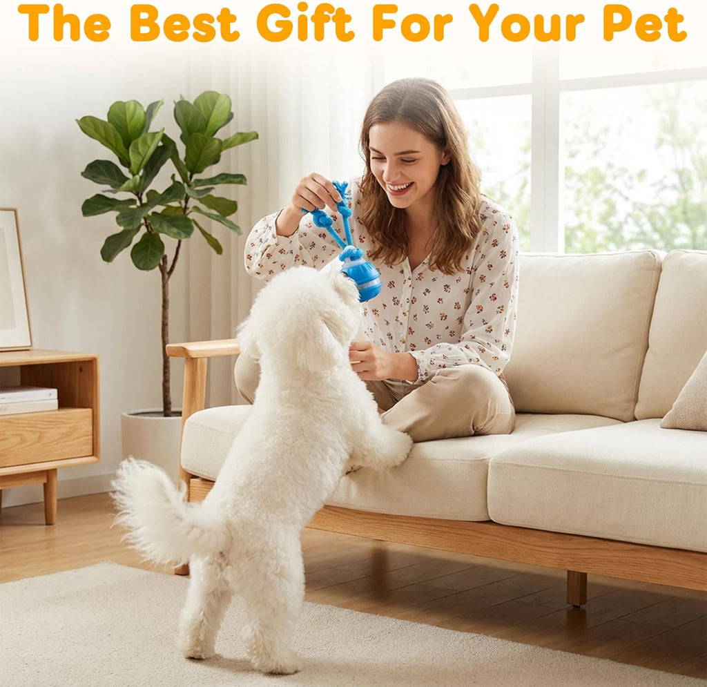 BSolus Zealburst - 2 juguetes interactivos para perros, bolas chirr...