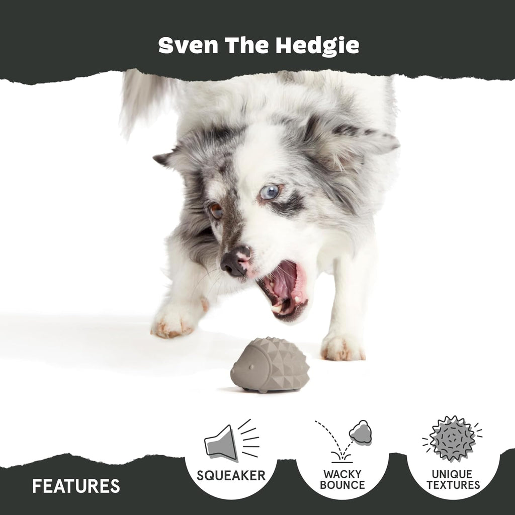 Barkbox Sven The Hedgie - Juguete súper masticador para perros, gom...