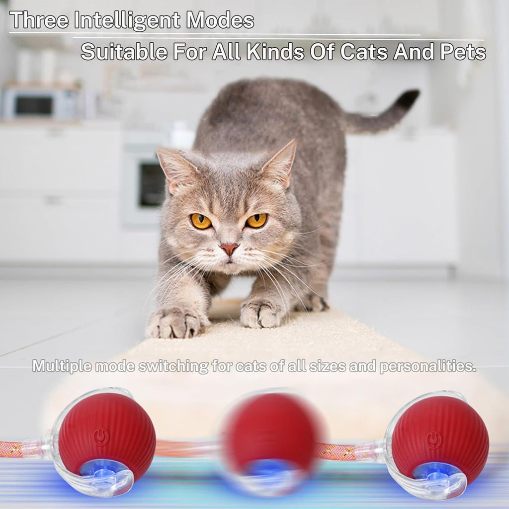 Yaruiguang Nuevo Juguete de Pelota para Gatos Mejorado - Speedy Tai...