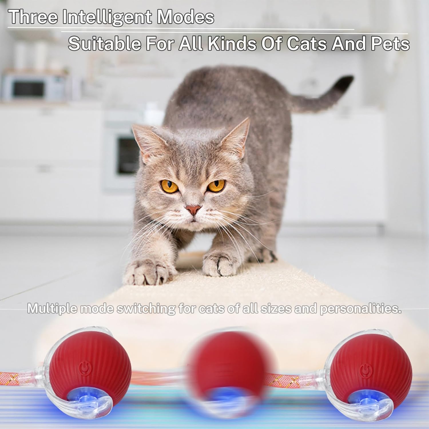 Yaruiguang Nuevo Juguete de Pelota para Gatos Mejorado - Speedy Tai...