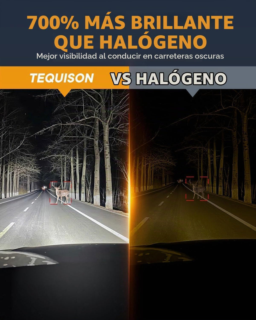 Tequison - Bombillas 9005\/HB3, 50000 lm ultra brillantes 6500 K bl...