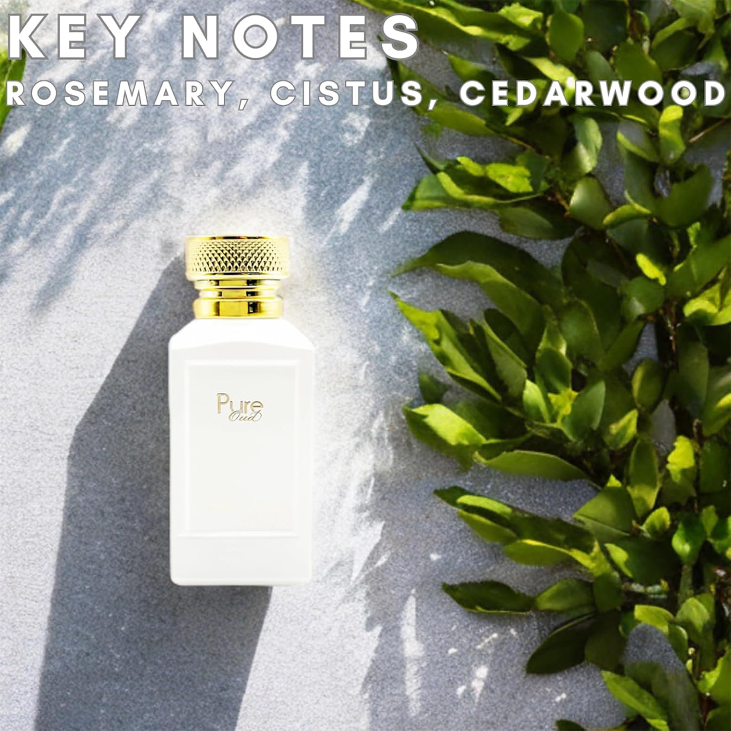 Fine Perfumery Pure Oud - Perfume de larga duración para mujer - Co...