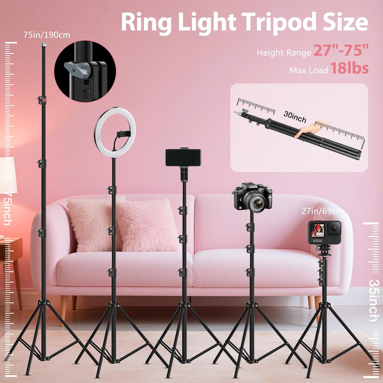 Kit de Luz de Anillo con Soporte de 22 Pulgadas: Luz de Anillo Prof...