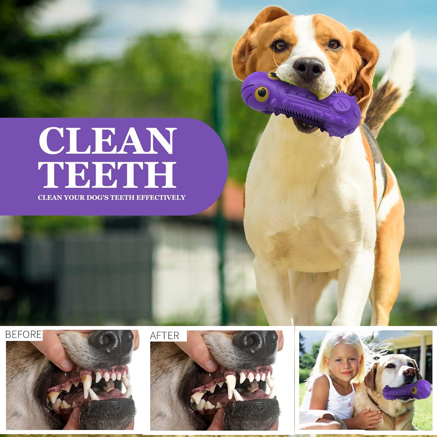 ZIKATON Juguetes chirriantes para perros masticadores agresivos, ju...