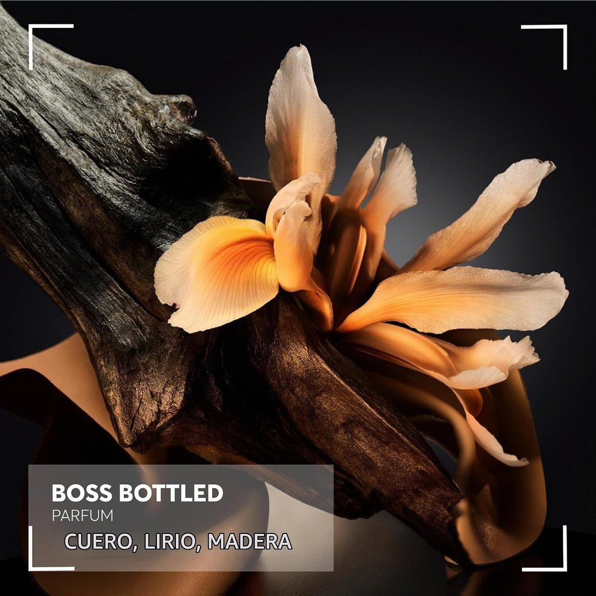 Hugo Boss Bottled Parfum \u2013 Woody Ambery Colonia para hombres \...