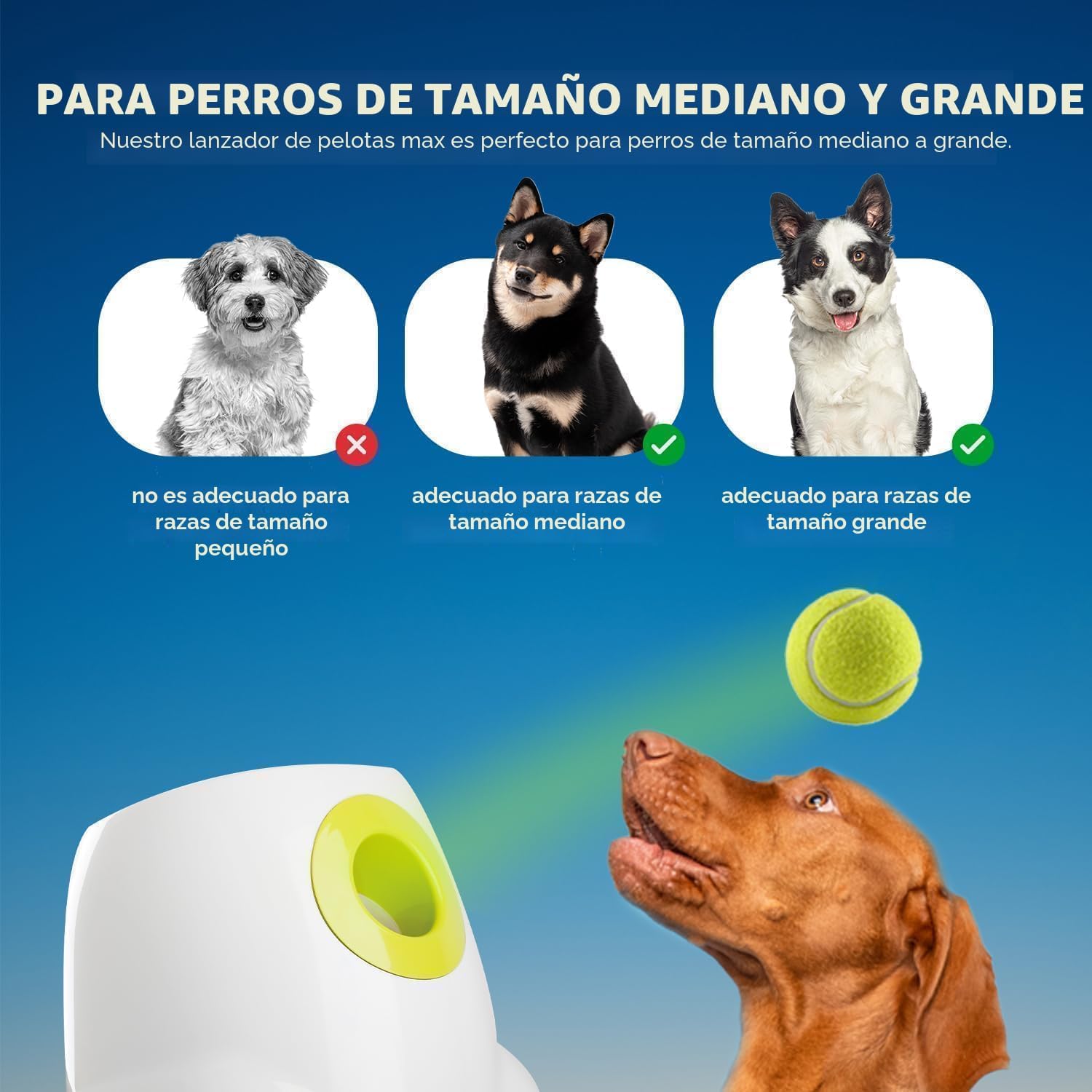 ALL FOR PAWS Lanzador automático de bolas para perros, máquina inte...