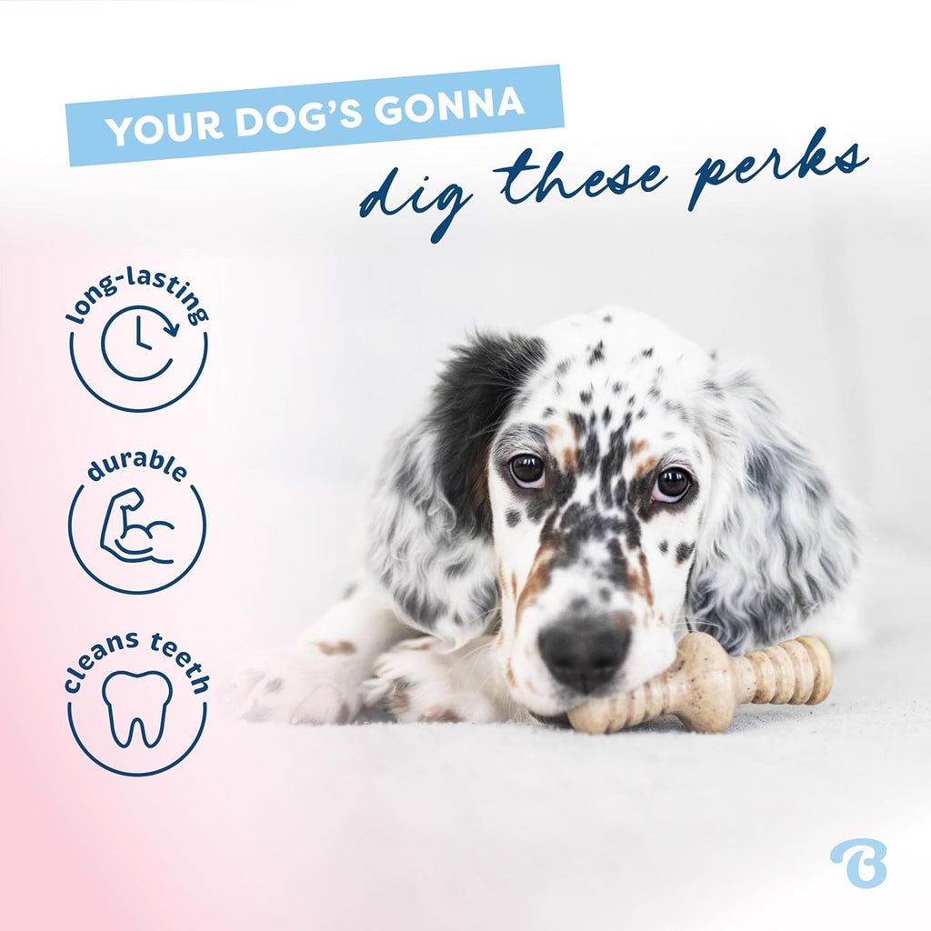 Benebone Puppy - Paquete de 2 juguetes masticables duraderos para p...