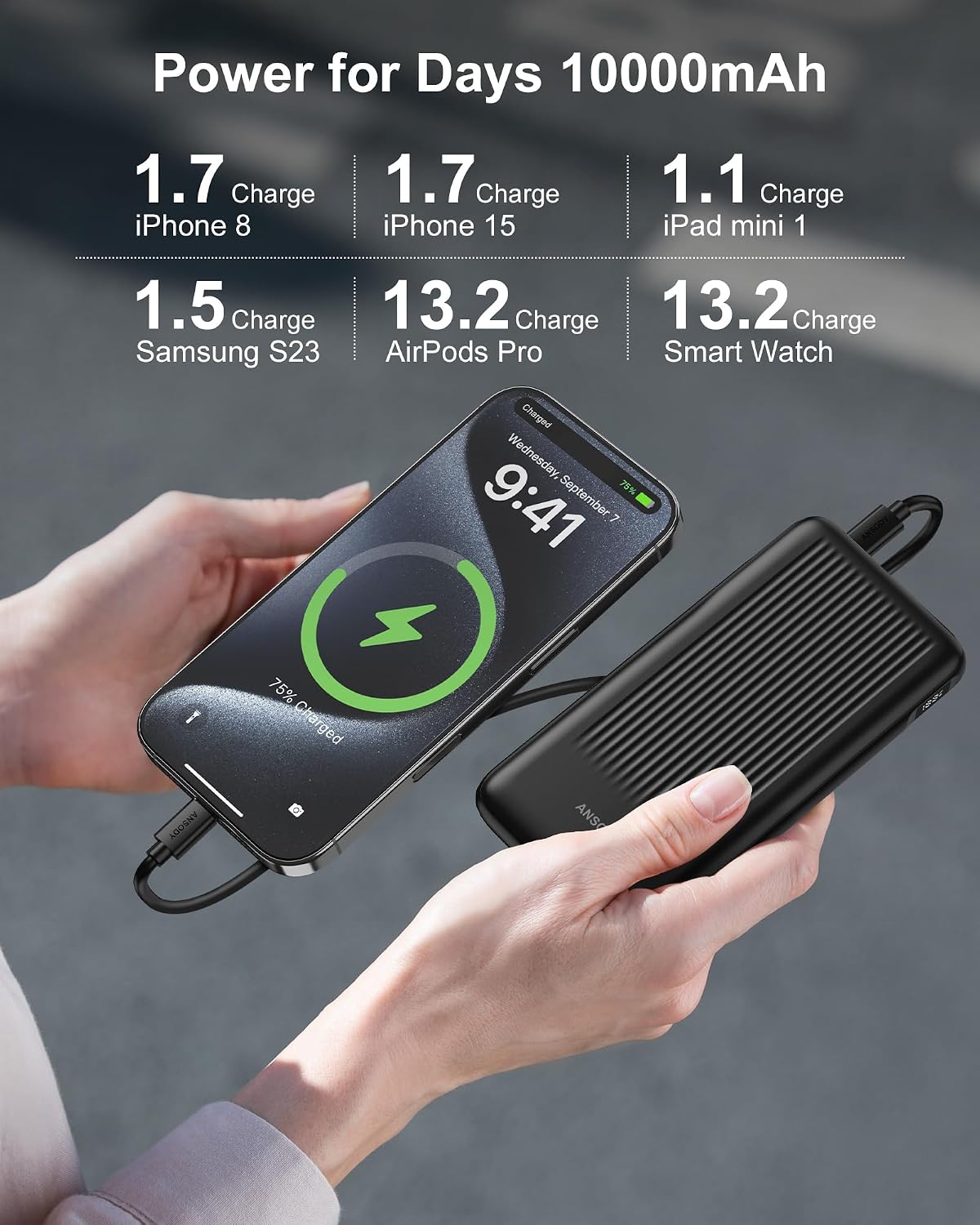 Ansody Paquete de 2 baterías de carga rápida de 10000 mAh, cargador...