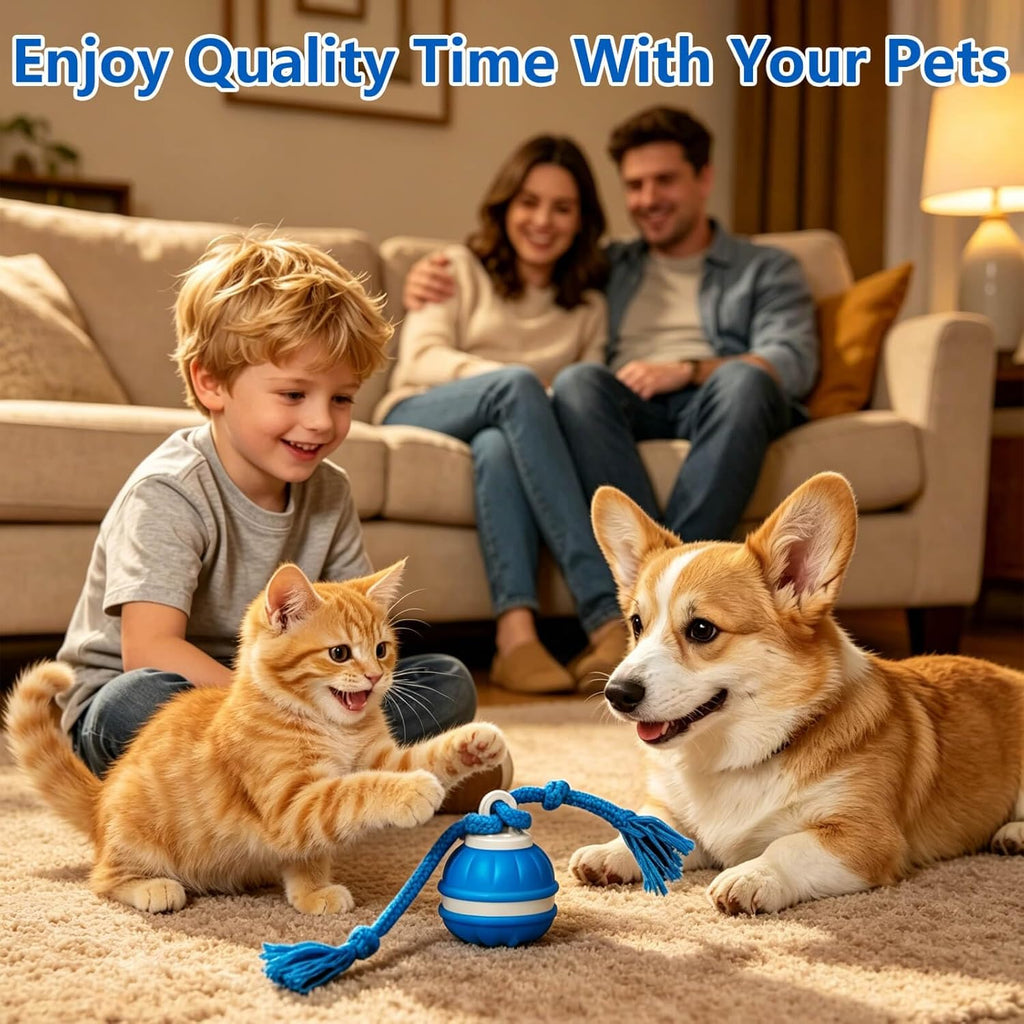 Craynivel Pelota interactiva para perros, juguete de 360° con luces...