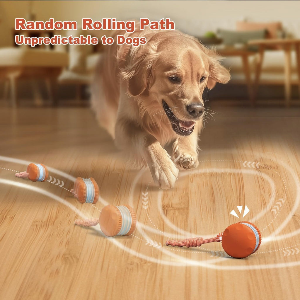 QGI Juguetes interactivos para perros, camino aleatorio, eléctrico,...