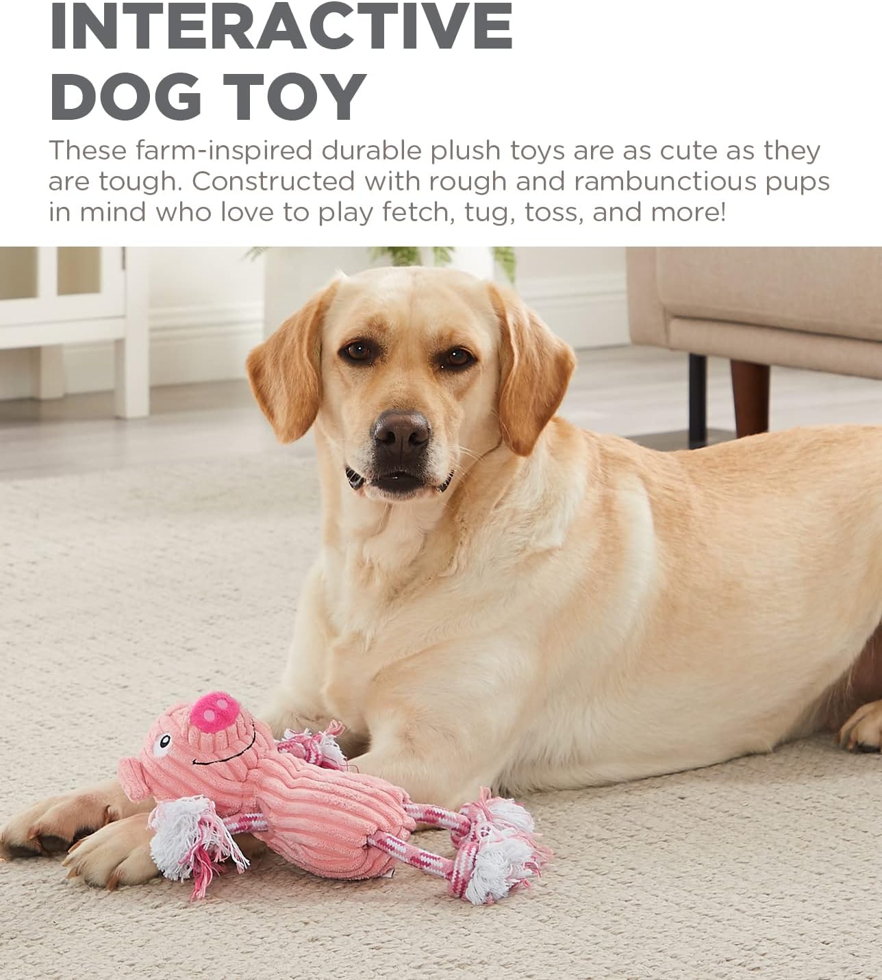 Outward Hound Ranch Roperz - Juguete de peluche chillón para perro,...