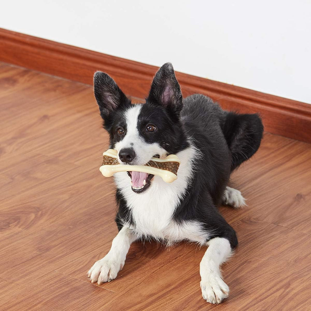 BETTEPROD Juguetes masticables para perros para masticadores agresi...