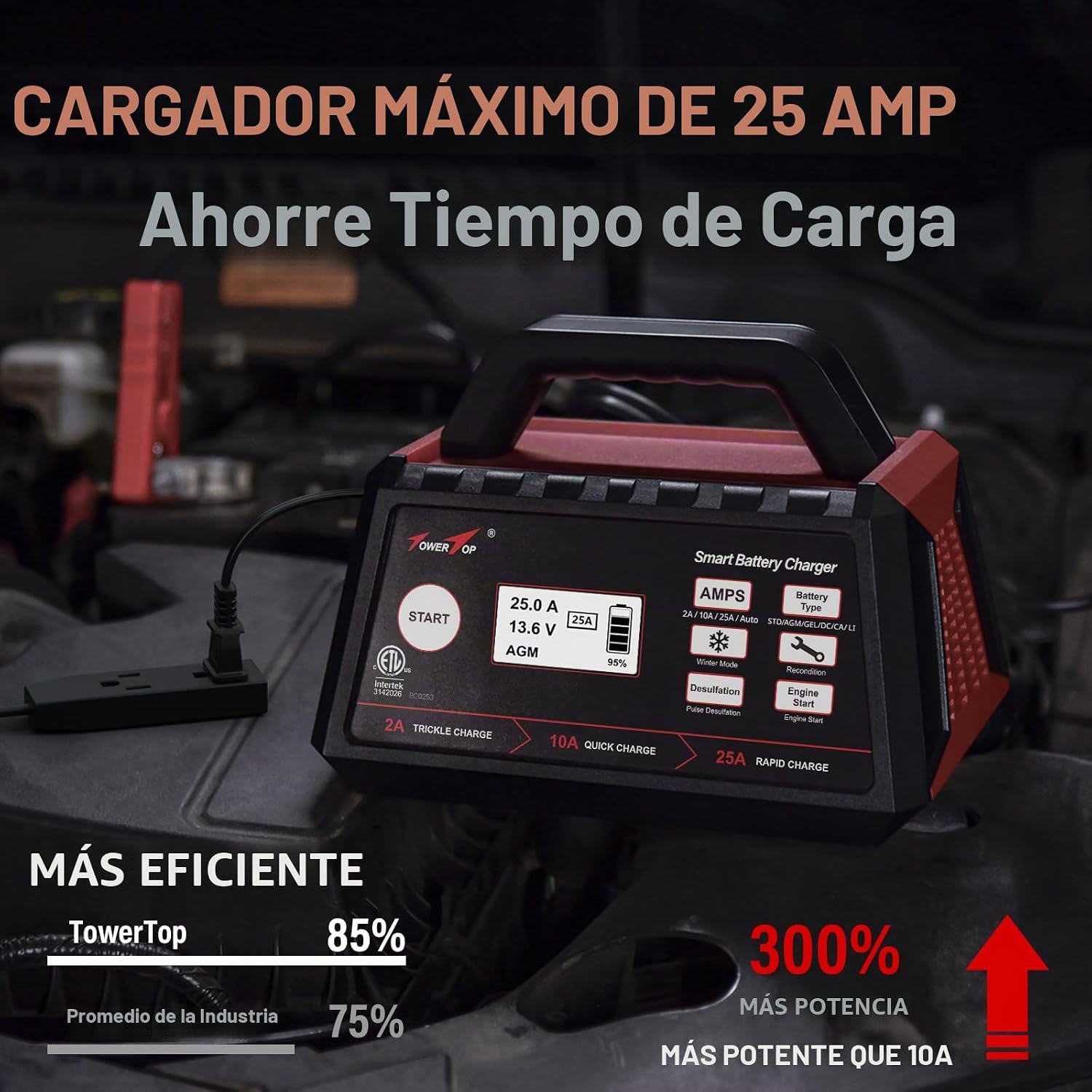 TowerTop Cargador de batería inteligente de coche de 2\/10\/25 ampe...