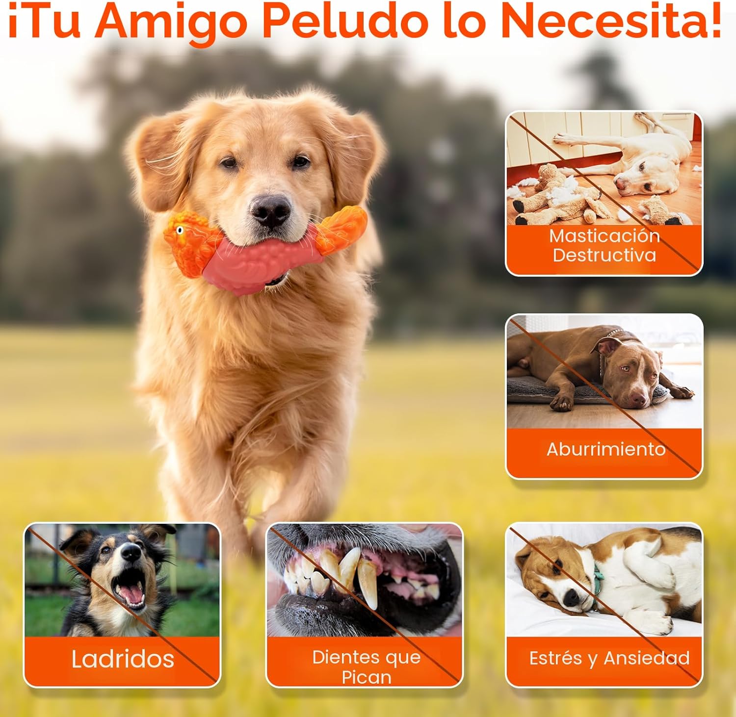 Juguetes resistentes para perros masticadores agresivos WinTour, ju...