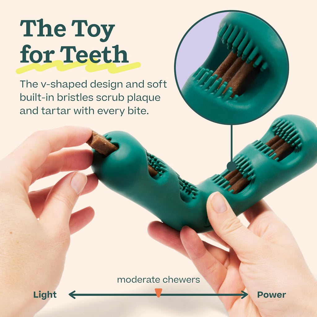 WOOF The Bite n' Brush - Cepillo de dientes para perros - Placa...