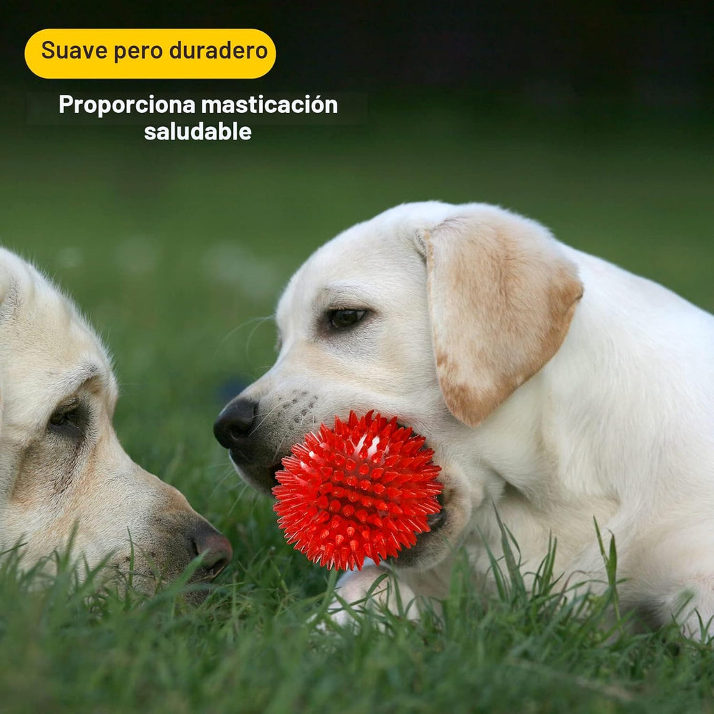 VITEVER Pelotas chirriantes de juguete para perros de 3.5 pulgadas...