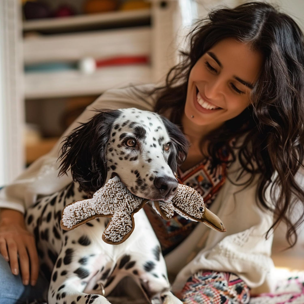 MAOOOOB Juguetes chirriantes para perros sin relleno, juguetes mast...