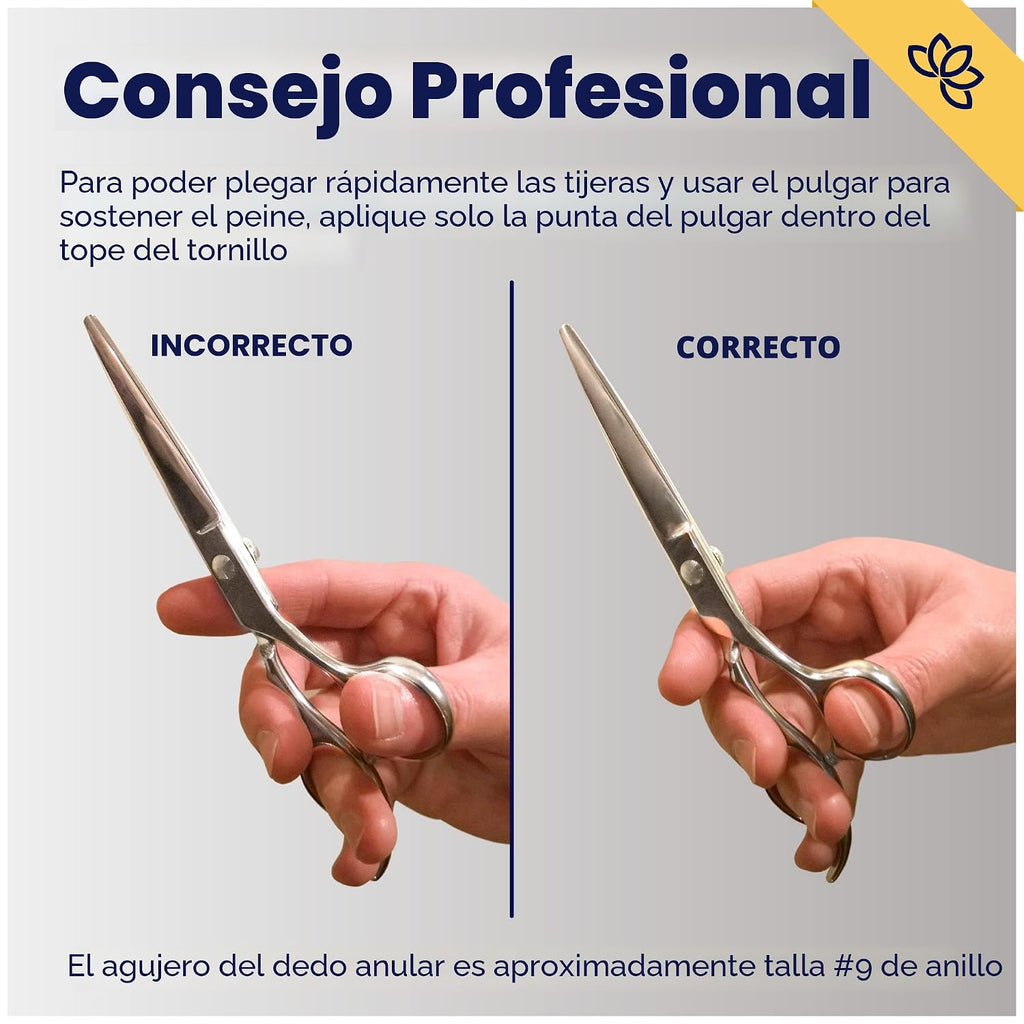 Equinox - Tijeras profesionales para cortar el cabello, longitud to...