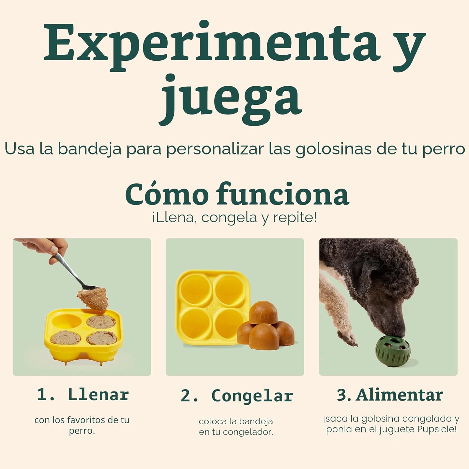 WOOF Paquete de iniciación \u2013 Juguetes interactivos para perros...
