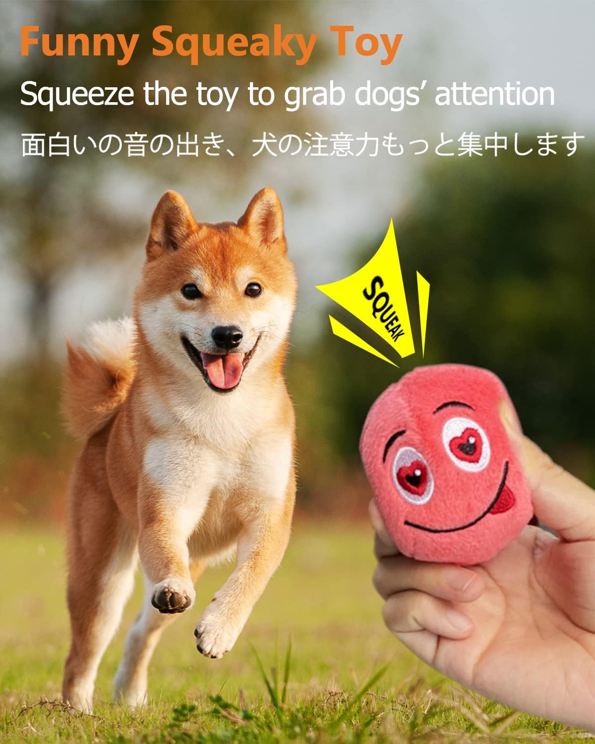 SCHITEC Juguetes chirriantes para perros, [6 unidades] Pelotas de f...