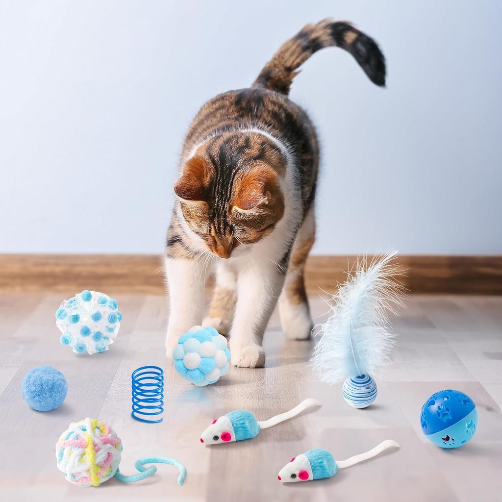 MALLMALL6 Juego de 10 juguetes para gatos que incluye resortes para...