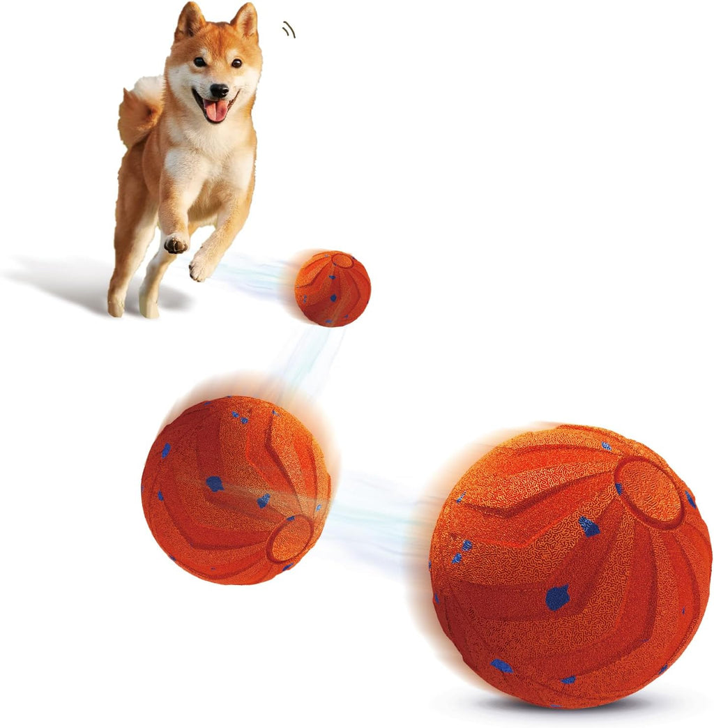 Loktoty Juguete inteligente interactivo para perros, movimiento aut...