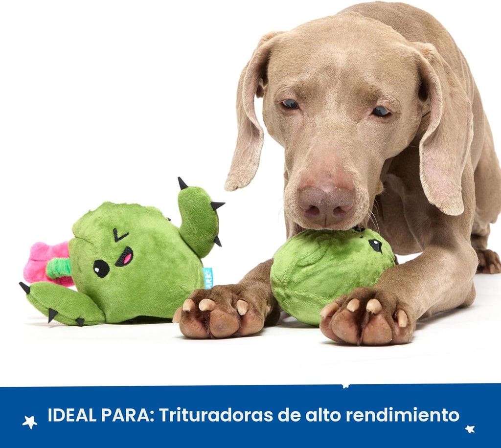 Barkbox Consuela The Cactus Juguete de Peluche Interactivo 2 en 1 p...