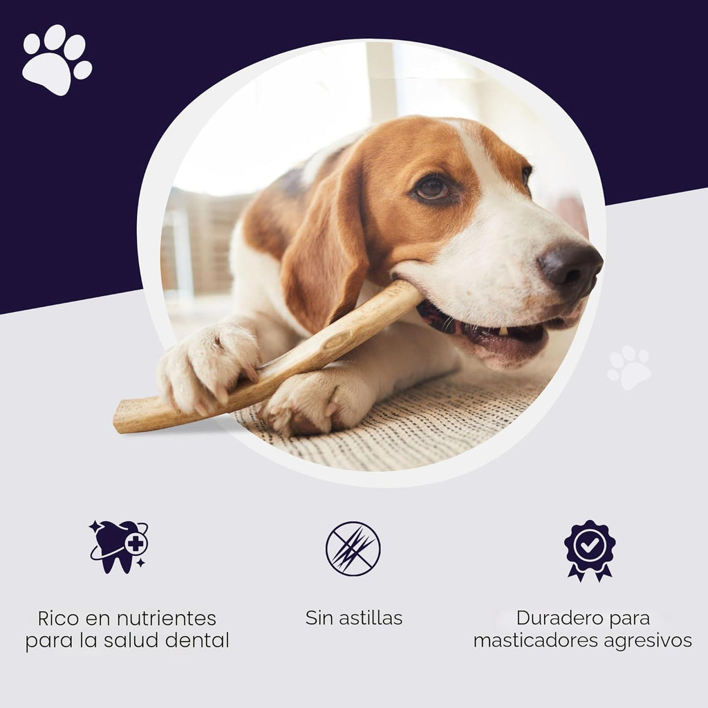 Devil Dog Pet Co. Cuernos de alce para perros, medianos de 5 pulgad...