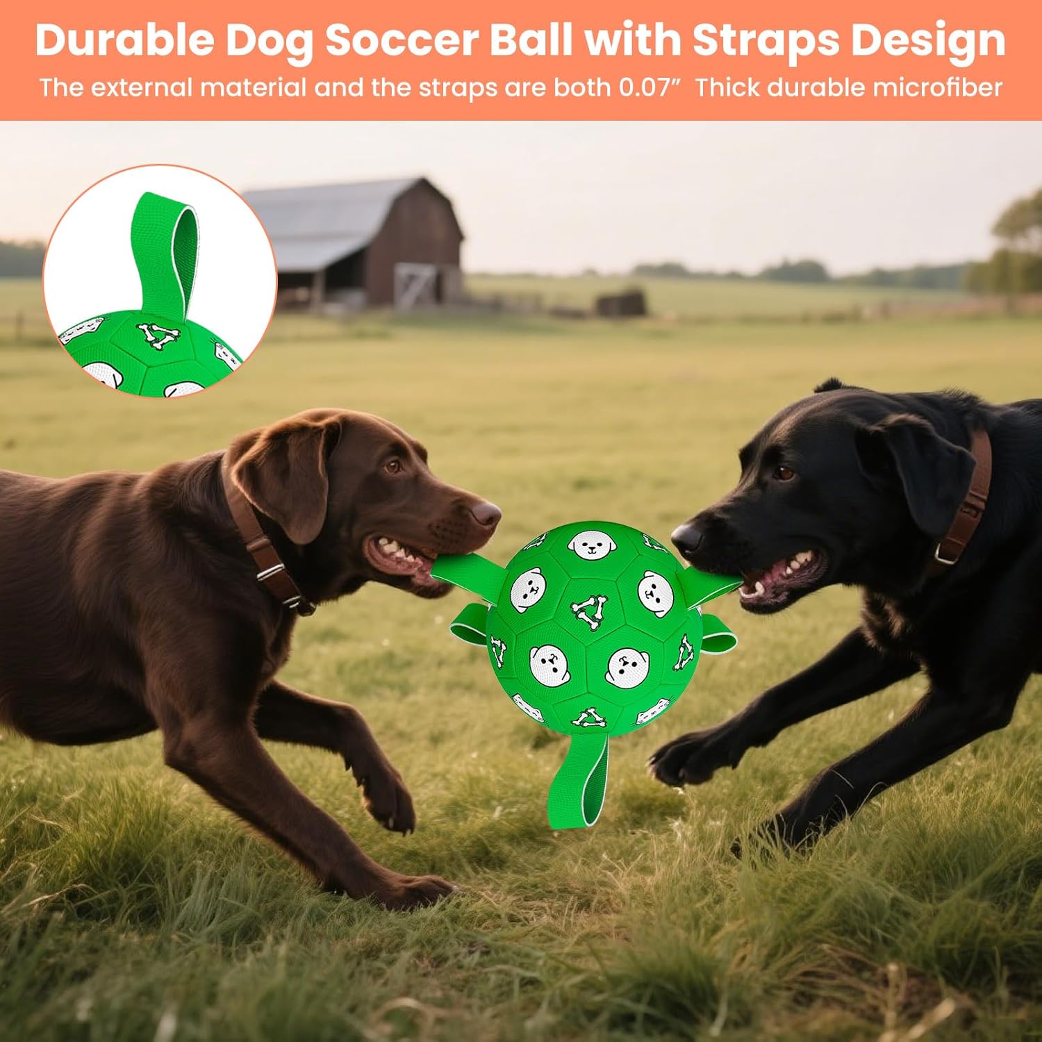 WYNTRIUM Pelota de fútbol de juguete para perros con pestañas de ag...