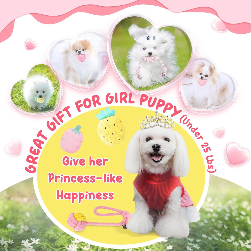 XIUGOAL Juguetes rosados \u200B\u200Bpara cachorros para la dentici...
