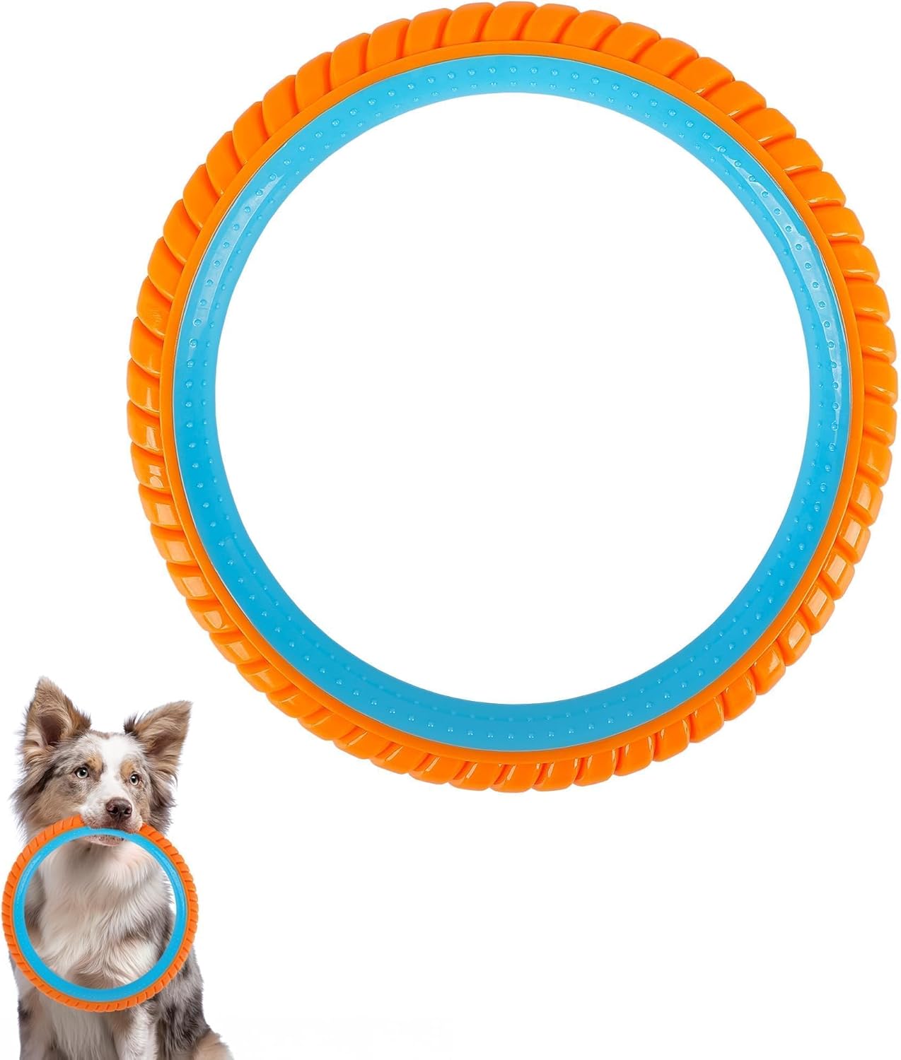 ALL FOR PAWS Anillo de juguete para perro de 10.8 pulgadas, juguete...