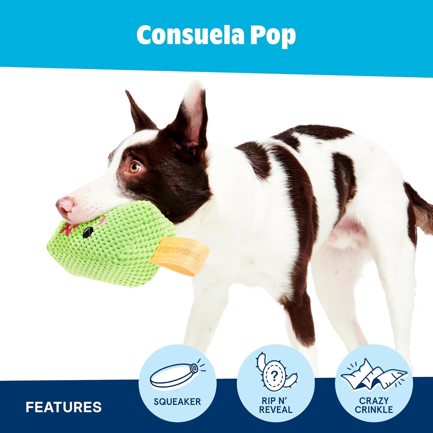 Barkbox BARK Consuela The Cactus Pop - Juguete de peluche de verano...