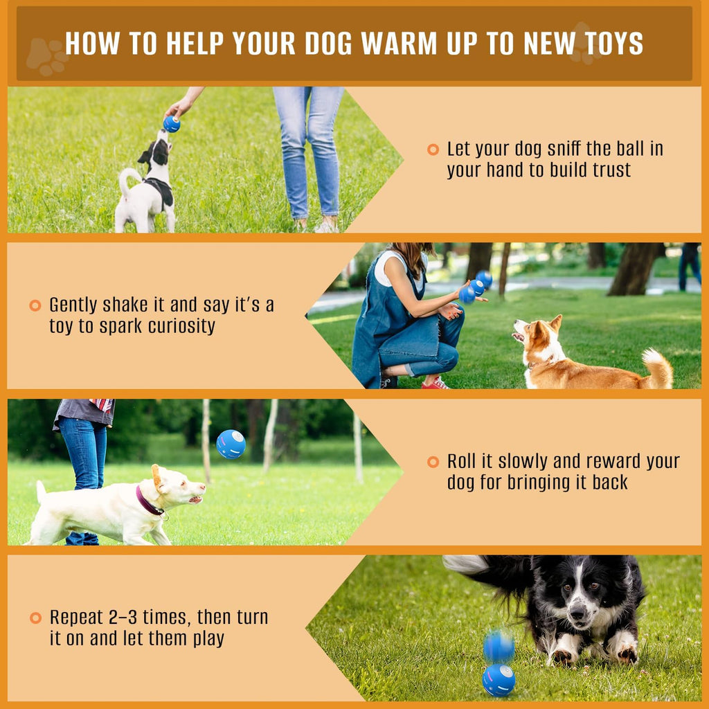 PetDroid - Juguetes interactivos para perros, bola para perros, [nu...