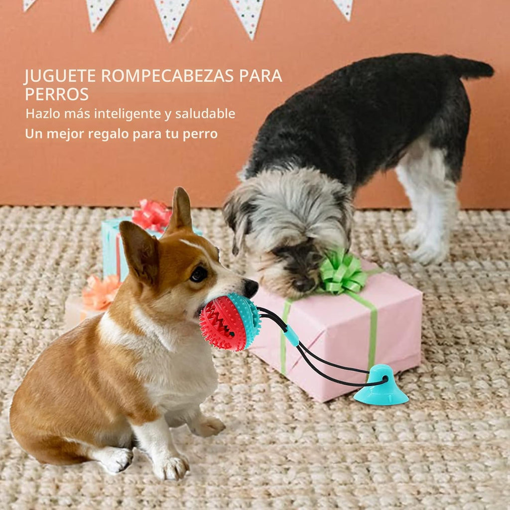 Askhald Juguetes para Perros Juguetes Masticables para Masticadores...