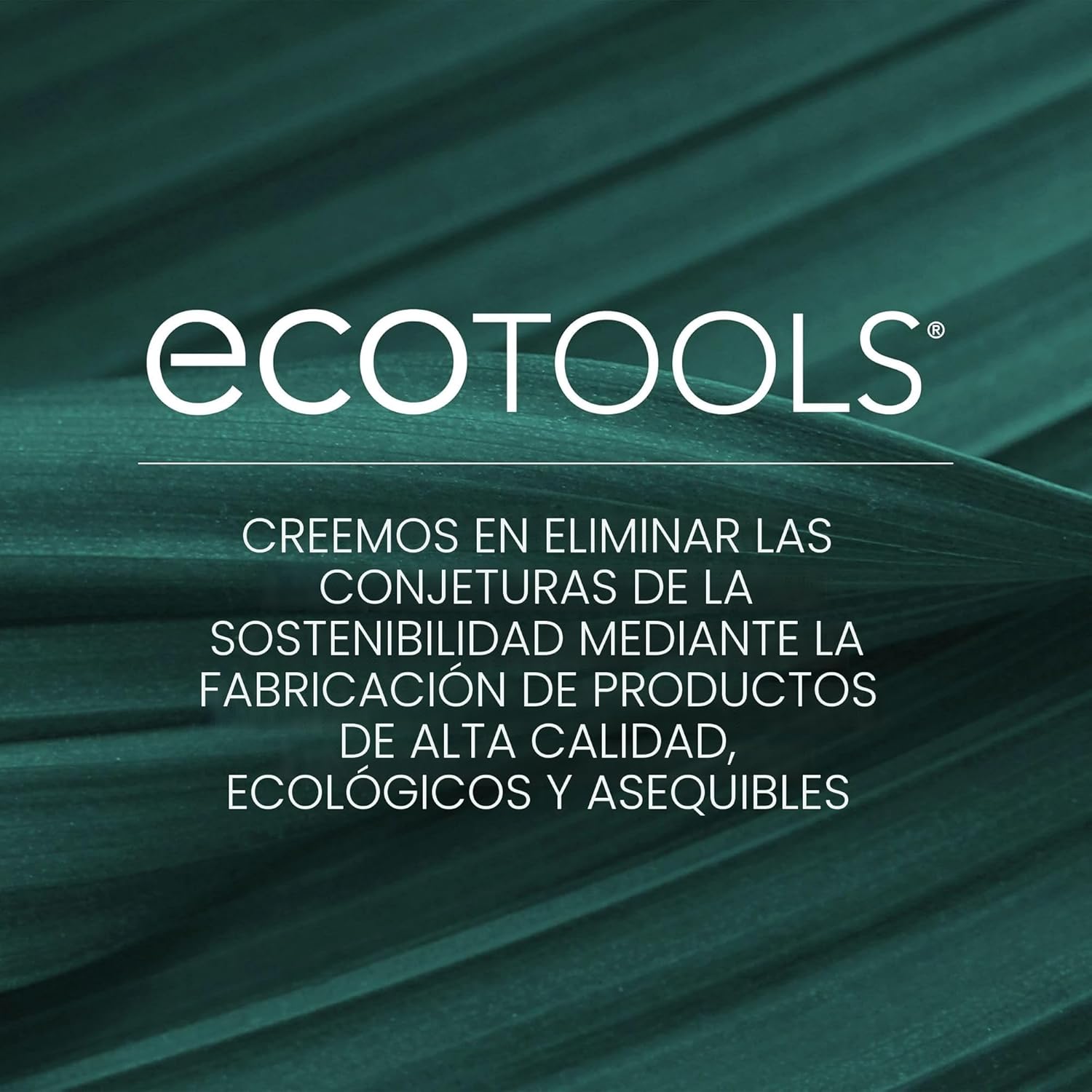 EcoTools Daily Defined Kit de Brochas para Ojos, Brochas de Maquill...