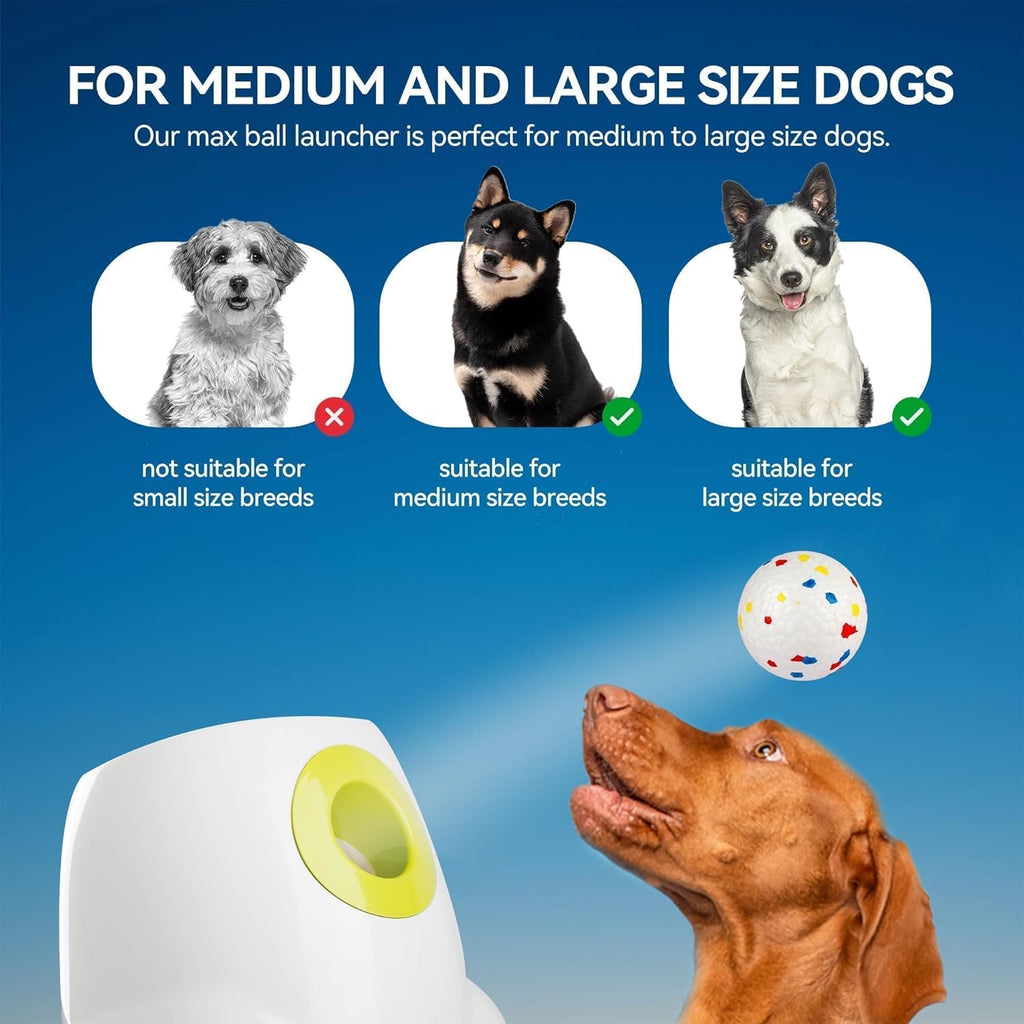 ALL FOR PAWS Lanzador automático de bolas para perros, bolas intera...